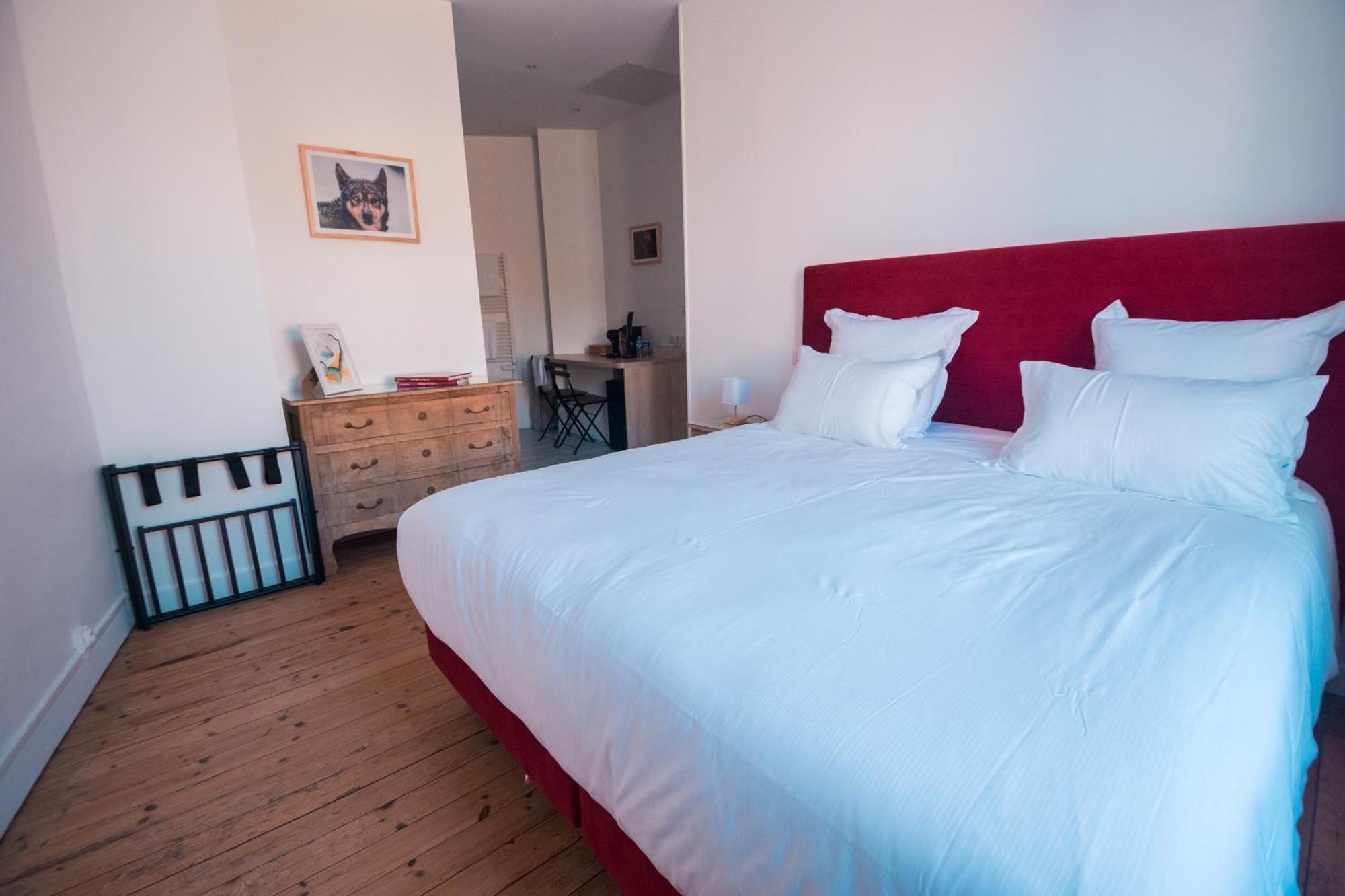 Bed and Breakfast Cedreblanc Saint-Émilion Exteriér fotografie
